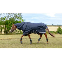 Produktbild von LeMieux Arika Storm-Tek 200g Outdoor-Decke für Pferde