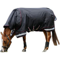 Produktbild von LeMieux Arika Storm-Tek 200g Wasserdichte Outdoor-Decke für Pferde in Schwarz