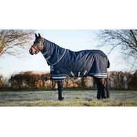 Produktbild von LeMieux Arika Storm-Tek Outdoor-Decke für Pferde mit 350g Füllung in Blau aus Oxford-Gewebe