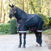 Produktbild von LeMieux Arika Storm-Tek Pferdedecke Schwarz 350g