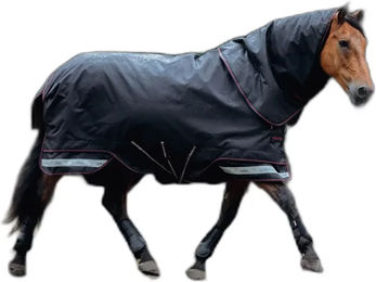 LeMieux Arika Storm-Tek Pferdedecke wasserdicht Schwarz 160 – Bild 1 von 2