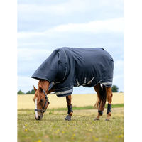 Produktbild von LeMieux Arika Storm-Tek Wasserdichte Outdoor-Pferdedecke 350g