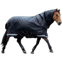 Produktbild von LeMieux Arika Storm-Tek Wasserdichte Outdoor-Pferdedecke Schwarz 135 cm