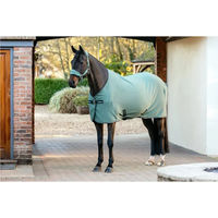 Produktbild von LeMieux Arika Tek Trocknende Fleecedecke für Pferde Grün 155 cm