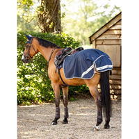 Produktbild von LeMieux Arika Wasserdichte Nierendecke für Pferde aus Polyester in Blau XL