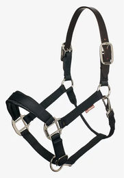 LeMieux Break Away Halfter für Ponys aus Nylon in Schwarz – Bild 1 von 9