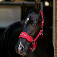 Produktbild von LeMieux Breakaway Vogue Halfter für Ponys in Chilli
