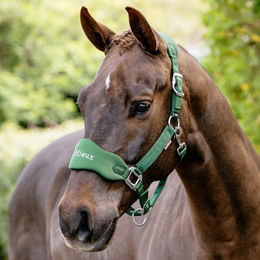 LeMieux Breakaway Vogue Halfter Hunter Green Größe Mini – Bild 1 von 1