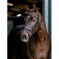 Produktbild von LeMieux Bridon Dressurtrense aus Leder für Ponys in Schwarz und Silber