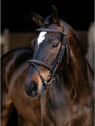 LeMieux Bridon Leder Trense für klassisches Reiten in Braun oder Schwarz – Bild 1 von 1