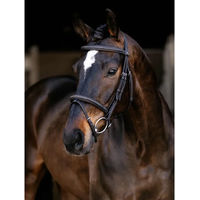 Produktbild von LeMieux Bridon Leder Trense für klassisches Reiten in Braun oder Schwarz