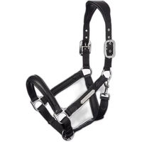 Produktbild von LeMieux Capella Gepolstertes Halfter für Ponys aus Leder und Nylon in Schwarz