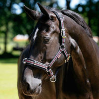Produktbild von LeMieux Cavesson Lunge Headcollar Halfter für Ponys