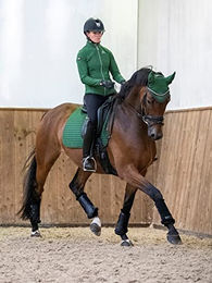 LeMieux Classic Lycra Fliegenhaube für Pferde Hunter Green Größe L – Bild 1 von 5