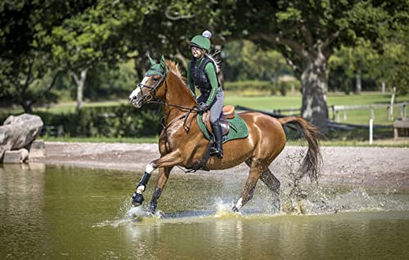 LeMieux Classic Lycra Fliegenhaube für Pferde Hunter Green Größe M - 1 Stk. – Bild 1 von 3