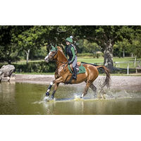 Produktbild von LeMieux Classic Lycra Fliegenhaube für Pferde Hunter Green Größe M - 1 Stk.
