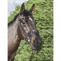 Produktbild von LeMieux Comfort Shield Nüsternschutz Fliegenschutz 2er Pack Schwarz - 2 x 1 Stk.