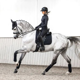 LeMieux Crystal Suede Dressurschabracke für Warmblut in Schwarz – Bild 1 von 4