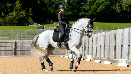 Produktbild von LeMieux Dressur Schabracke mit Bambusfasern Schwarz S/M