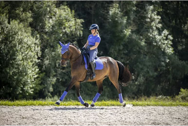Produktbild von LeMieux Dressurmatte für Pferde aus Wildleder in Blau Größe S/M