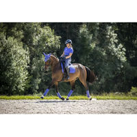 Produktbild von LeMieux Dressurmatte für Pferde aus Wildleder in Blau Größe S/M