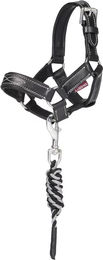 Produktbild von LeMieux Halfter und Stricke Set für Ponys in Schwarz aus Leder