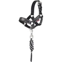 Produktbild von LeMieux Halfter und Stricke Set für Ponys in Schwarz aus Leder
