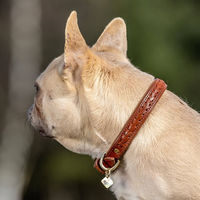 Produktbild von LeMieux Halsband Oxford Tan Größe S