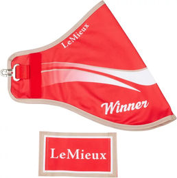 Produktbild von LeMieux Hobby Horse Stalldecke für Pferde