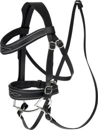 LeMieux Hobby Horse Wettkampf-Trense – Bild 1 von 2