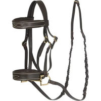 Produktbild von LeMieux Hunter Zaum für Hobby Horse