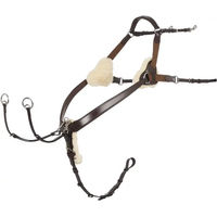 Produktbild von LeMieux Jagdhalsband für Pferde aus Leder in Braun