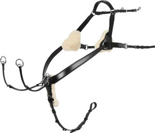 LeMieux Jagdhalsband für Pferde aus Leder in Schwarz – Bild 1 von 1