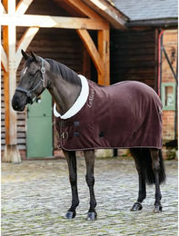 Produktbild von LeMieux Kudos Luxe Fleece-Decke für Pferde in Lila oder Braun