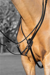 Produktbild von LeMieux Kudos Martingal aus Leder für Ponys in Blau oder Schwarz