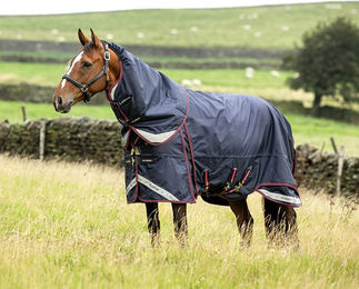 LeMieux Kudos Thermo Layer Turnout Rug Pferdedecke mit abnehmbarem Halsteil Blau 100g – Bild 1 von 6