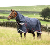 Produktbild von LeMieux Kudos Thermo Layer Turnout Rug Pferdedecke mit abnehmbarem Halsteil Blau 100g