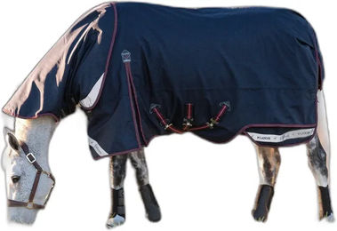 LeMieux Kudos Turnout Neck Cover Halsdecke für Pferde Blau XS – Bild 1 von 2
