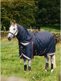 LeMieux Kudos Turnout Rug Outdoor-Pferdedecke aus Nylon in Blau 100g – Bild 1 von 7
