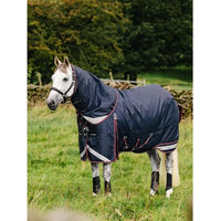 Produktbild von LeMieux Kudos Turnout Rug Outdoor-Pferdedecke aus Nylon in Blau 100g