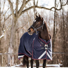LeMieux Kudos Turnout Rug Pferdedecke Blau 100g – Bild 1 von 6