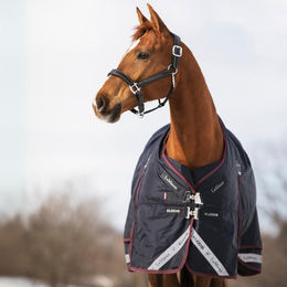 LeMieux Kudos Turnout Rug Pferdedecke mit abnehmbarem Halsteil 350g Blau – Bild 1 von 2