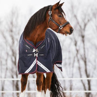 Produktbild von LeMieux Kudos Turnout Rug Pferdedecke mit abnehmbarem Halsteil Blau 200g