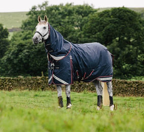 LeMieux Kudos Turnout Rug Pferdedecke mit abnehmbarem Halsteil Blau 50g – Bild 1 von 5