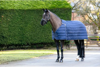 LeMieux Kudos Unterdecke für Pferde Blau 140 cm – Bild 1 von 5