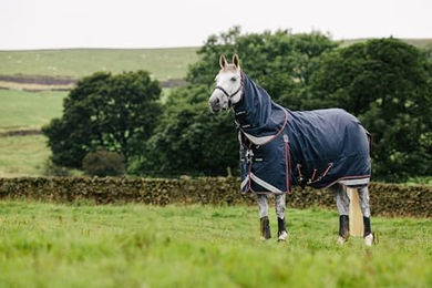 LeMieux Kudos Weidedecke für Pferde wasserdicht in Marineblau – Bild 1 von 5