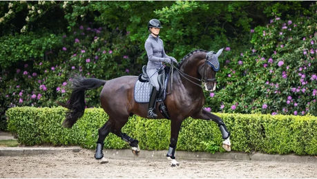 Produktbild von LeMieux Loire Classic Dressurmatte für Pferde aus Bambus in Grau Größe S/M