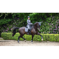 Produktbild von LeMieux Loire Classic Dressurmatte für Pferde aus Bambus in Grau Größe S/M