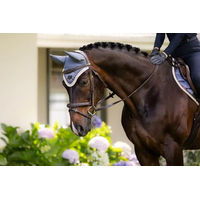 Produktbild von LeMieux Loire Fliegenhaube Farn Medium Grün Blau