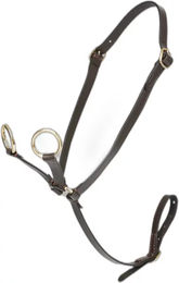 LeMieux Martingal für Ponys aus Leder in Braun – Bild 1 von 1